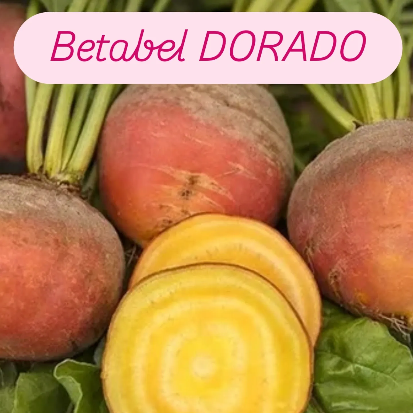 Betabeles candy, dorado, rojo